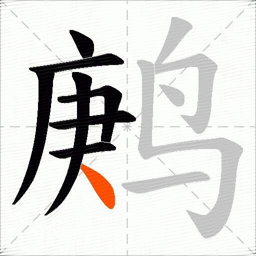鹒