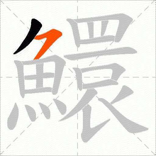鱞