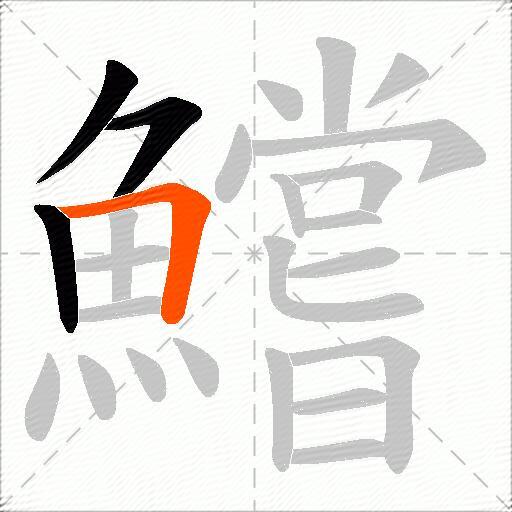 鱨