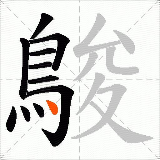鵔