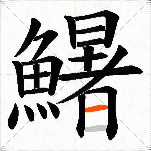 鱪