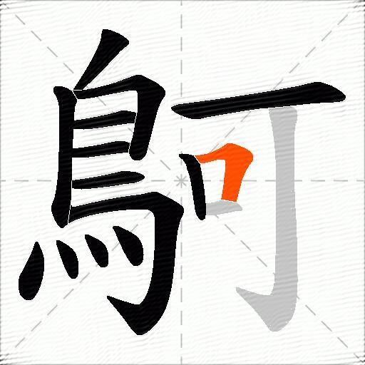 鴚