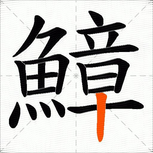 鱆