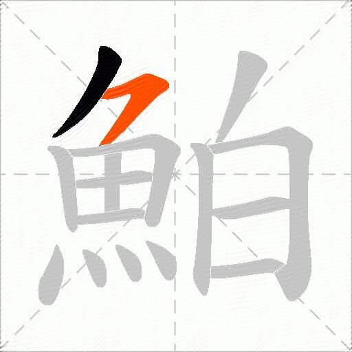鮊