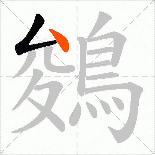 鵕