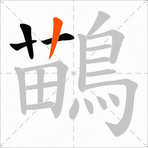 鶓