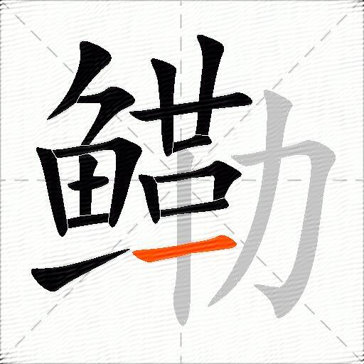 鳓