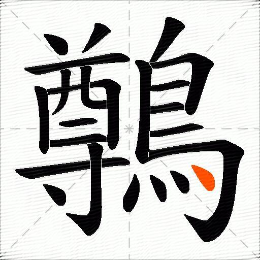 鷷
