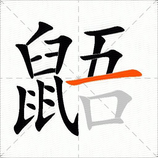 鼯