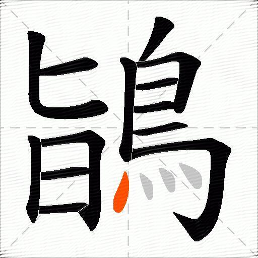 鴲