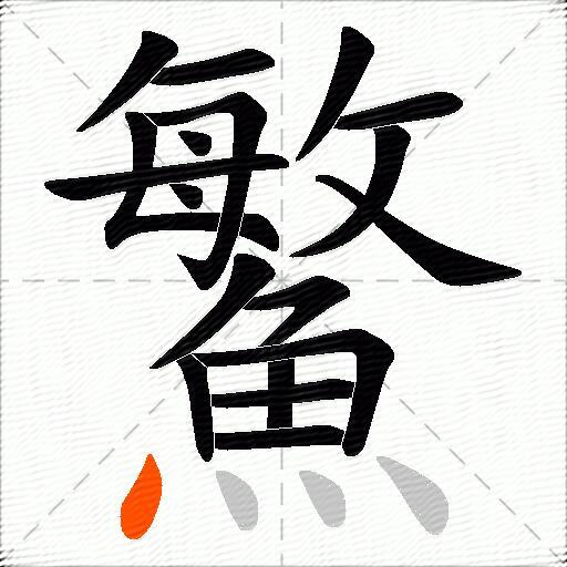 鰵
