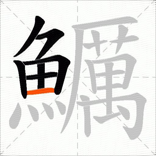 鱱