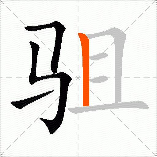 驵