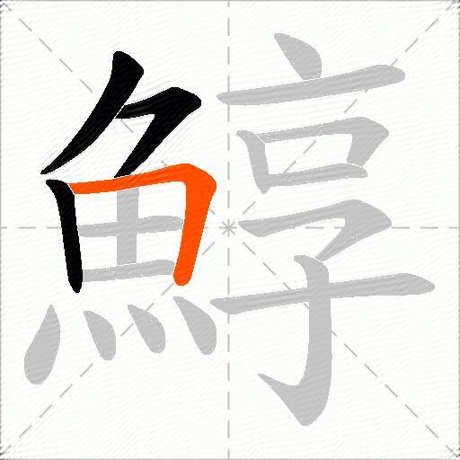 鯙