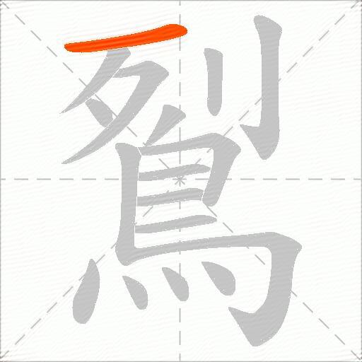 鴷