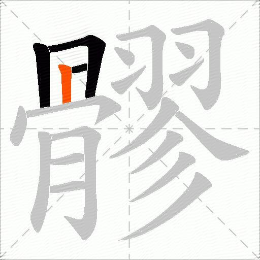 髎