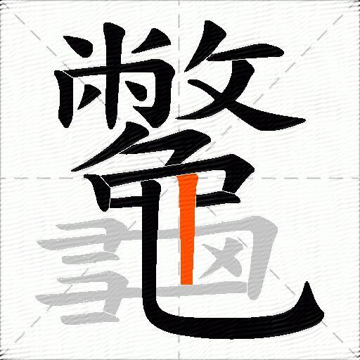 龞