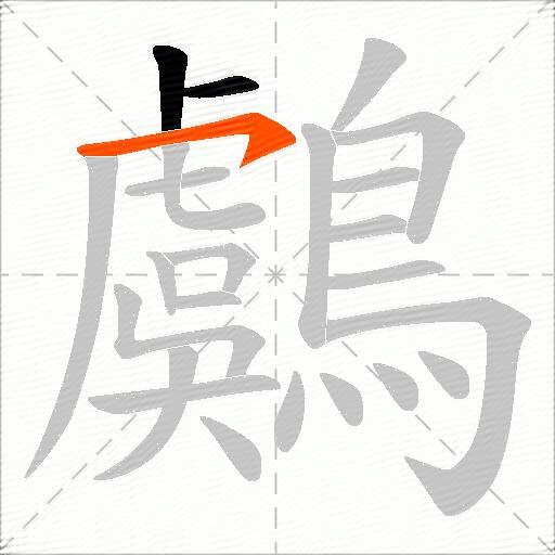鸆