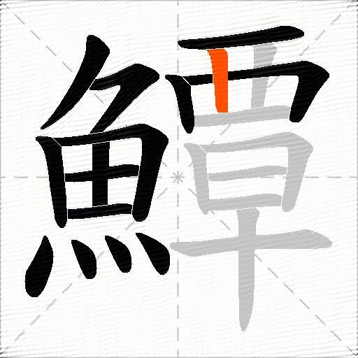 鱏