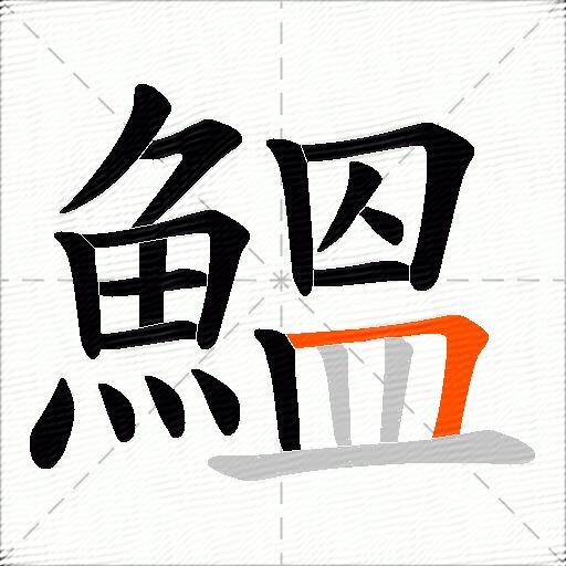 鰮
