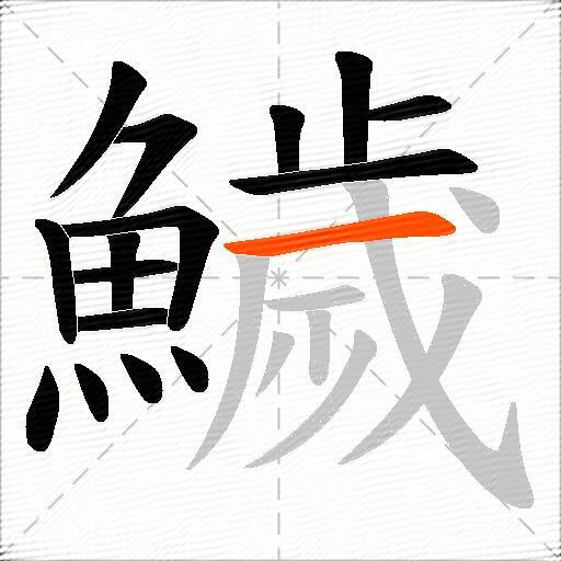 鱥