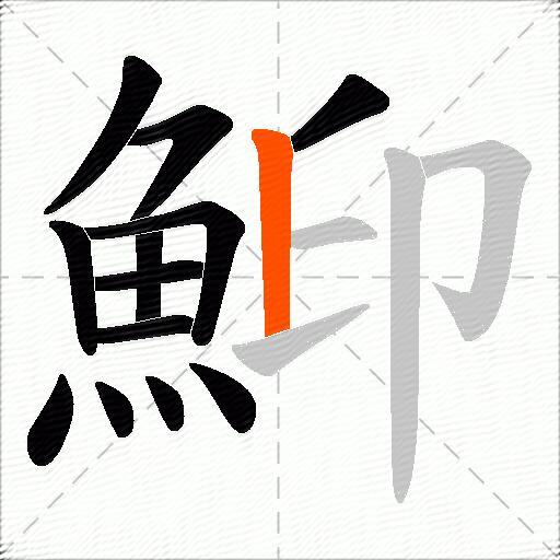 鮣
