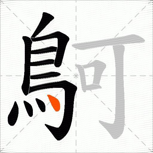 鴚