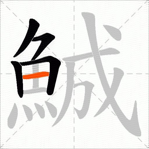 鯎
