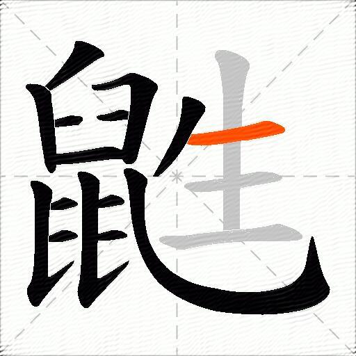 鼪