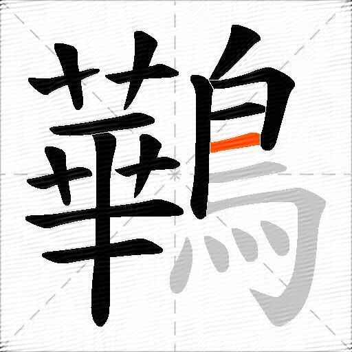 鷨