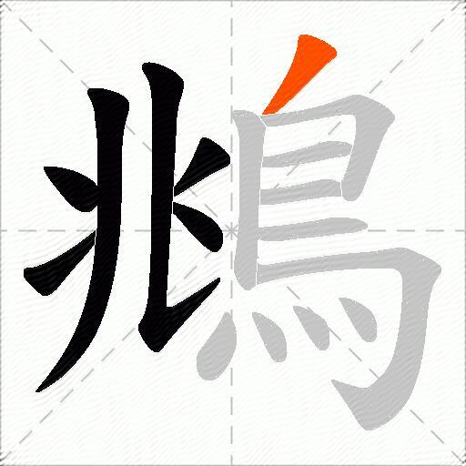 鴵