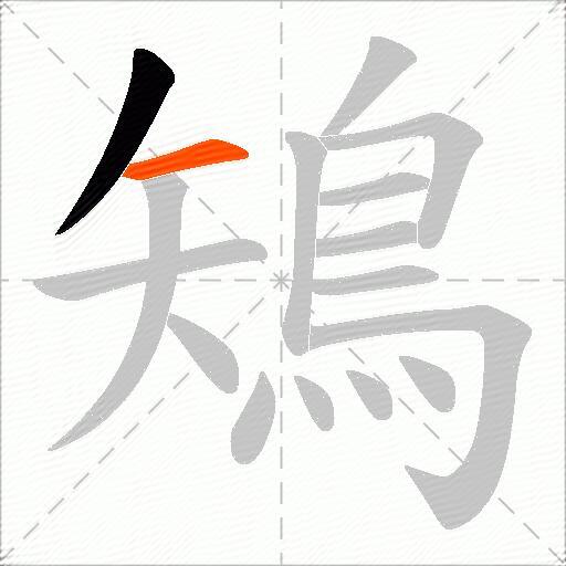 鴙