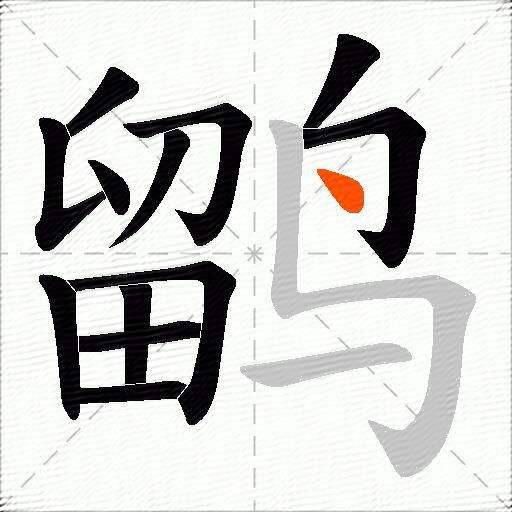 鹠