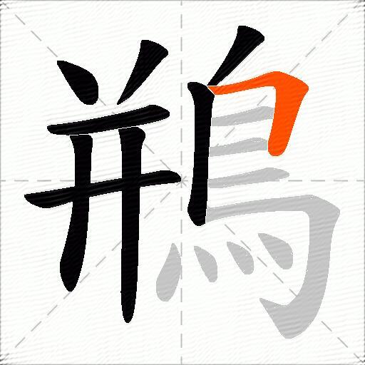 鵧