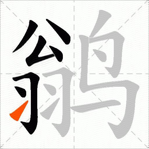 鹟