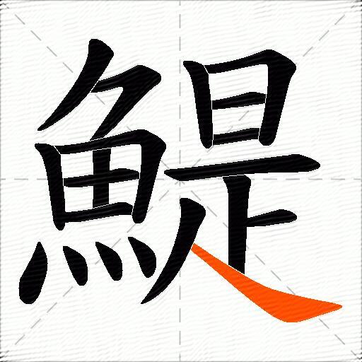 鯷