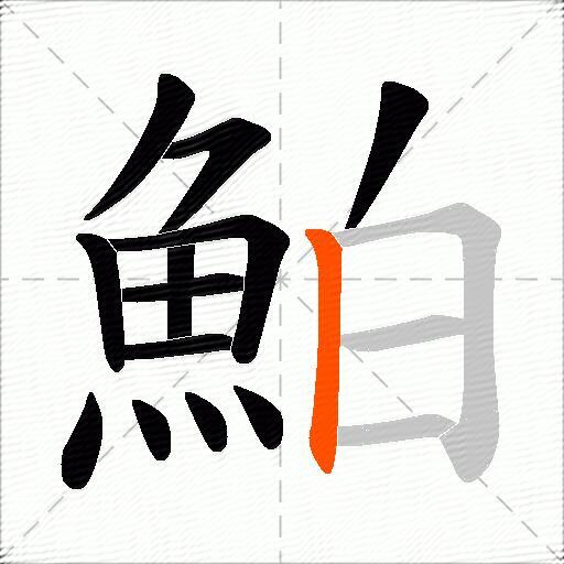 鮊
