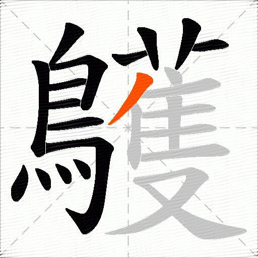 鸌