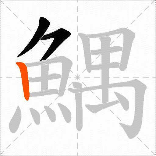 鰅