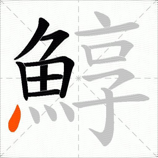 鯙