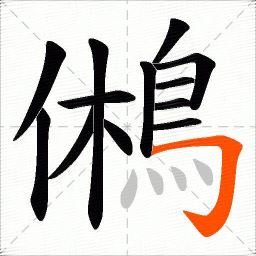 鵂
