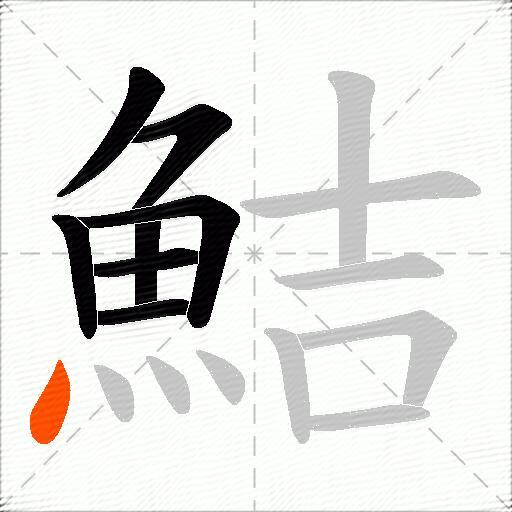 鮚