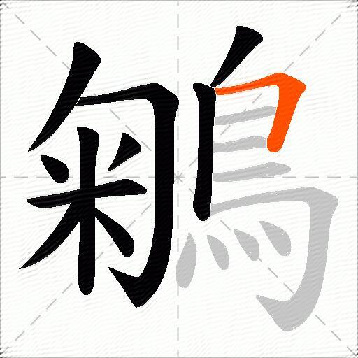 鵴