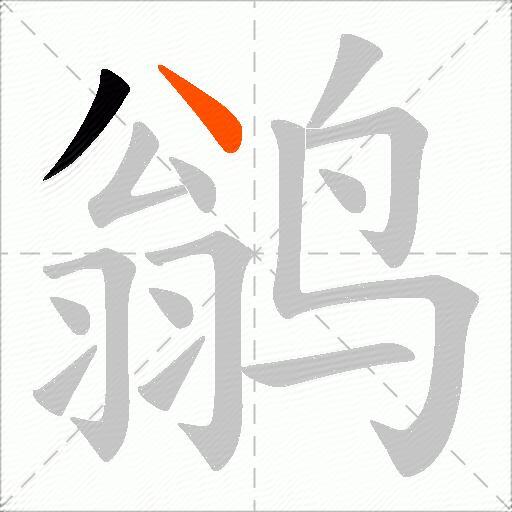 鹟