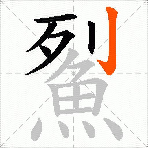 鮤
