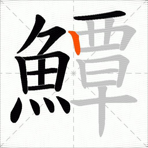 鱏