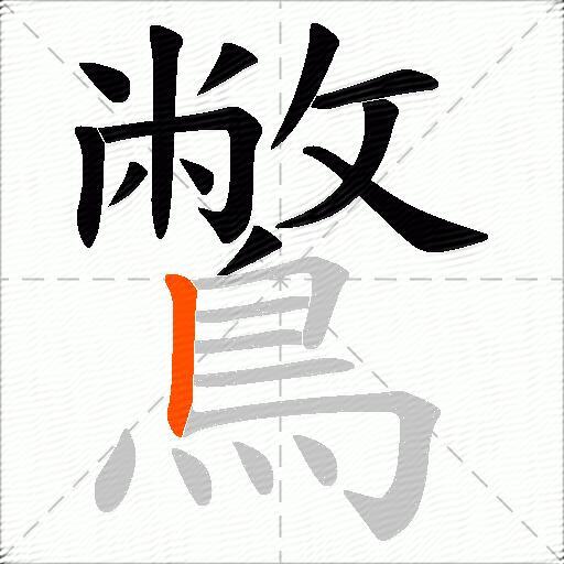 鷩
