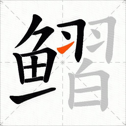 鳛