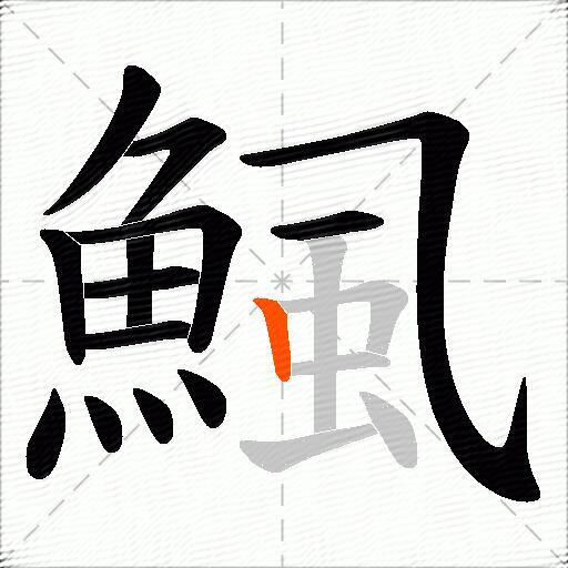 鯴