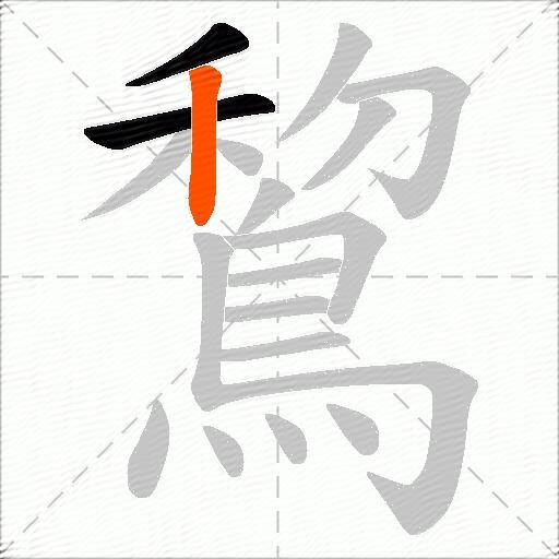 鵹